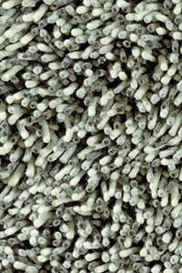 Vloerkleed Brink & Campman Gravel 68201 Vloerkleed Brink & Campman Gravel 68201